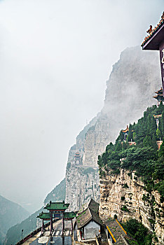 đề hôm nay con gì