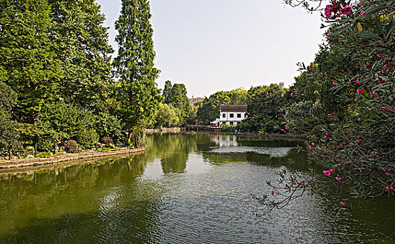 cầu lô tô bạch thủ