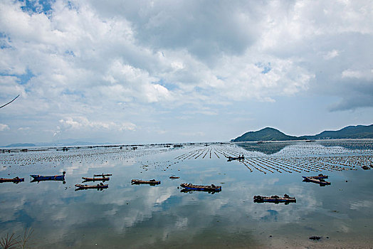 cầu đặc biệt khung 3 ngày net 88