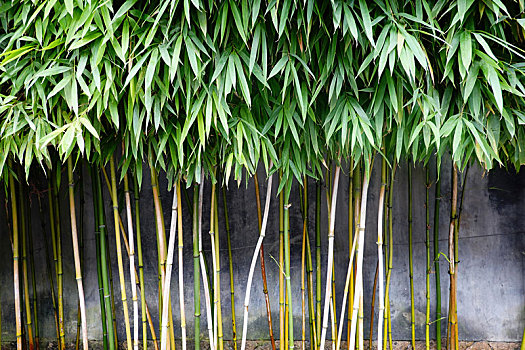 keo viet nam