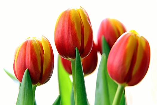 cách đánh lô đề miền nam