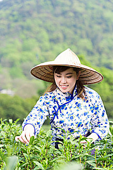 soi cau minh ngoc