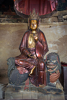 xs rong vang bach kim