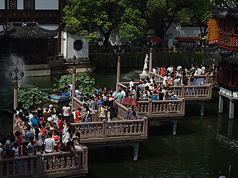 cau lo 888 mien phi