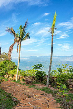 bạch thủ đề