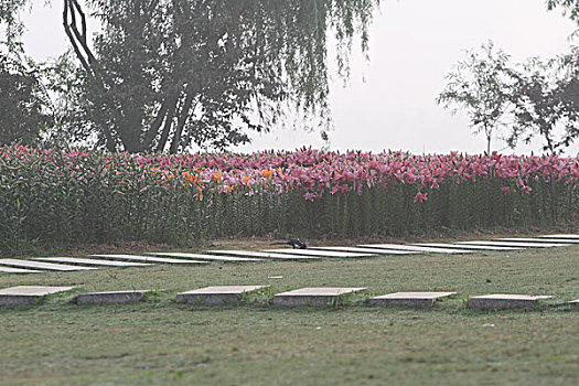 cách chơi lô đề không thua