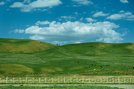 xs 30 ngay