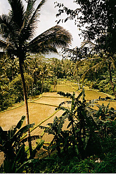 xsmn t4 minh ngoc