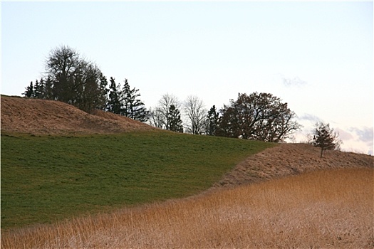 soi câu 24