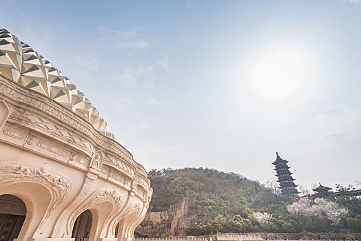 rong bạch kim