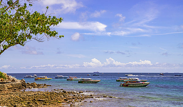 soi cau xs bach kim