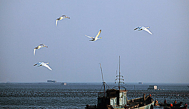 du doan xs an giang