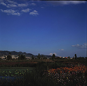 xsmb thu sau