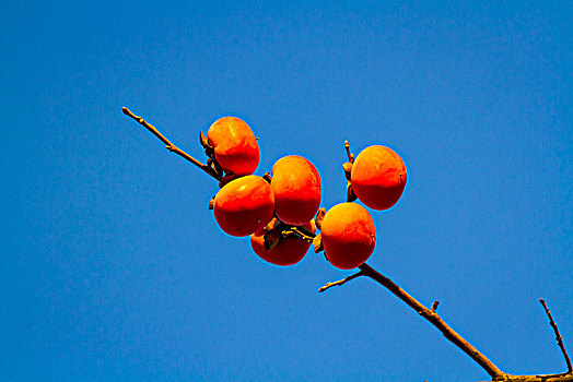 soi cầu đề hôm nay