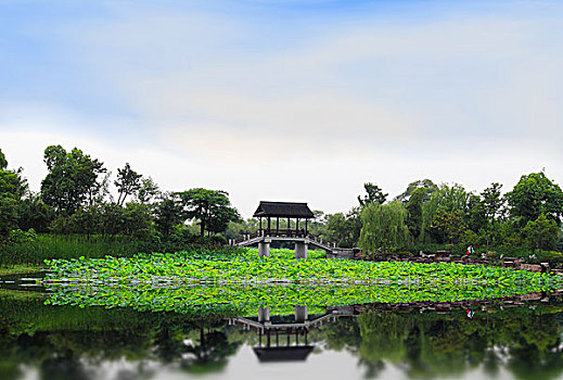 soi cầu đề