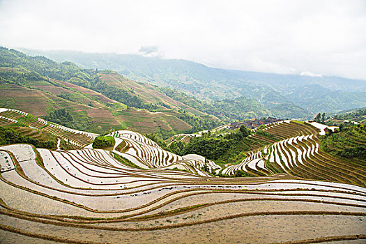 xổ số trà vinh hôm nay