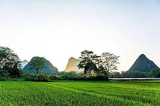 đánh số đề online