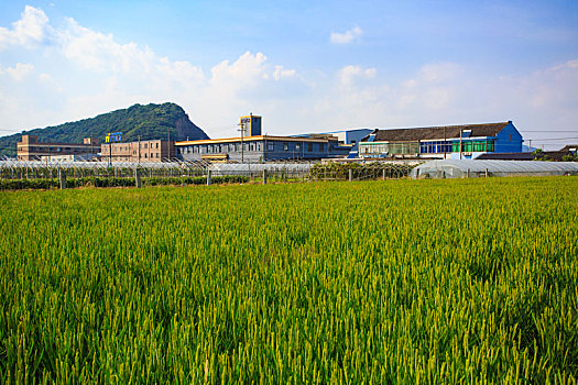 du doan xs 3 miền