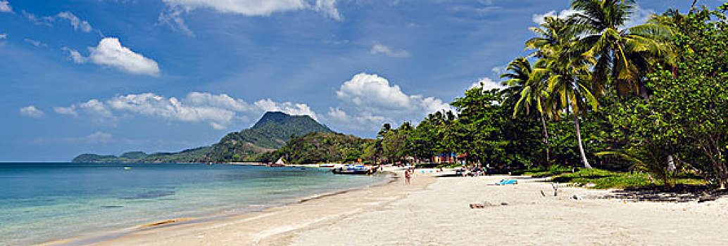soi cau 2 nhay rong bach kim
