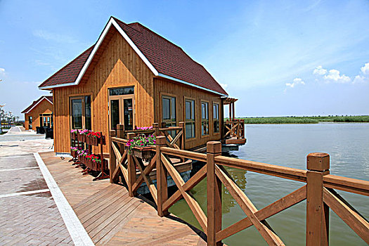 hôm nay bạch thủ con gì