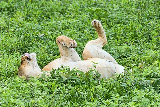 xsmb thu 5 hang tuan minh ngoc