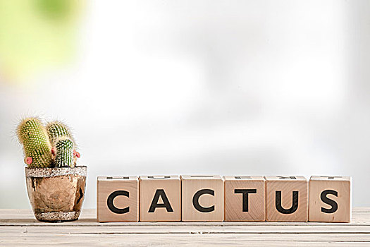 soi cầu chính xác 100