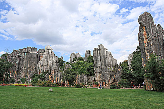 xstd soi cau thong ke