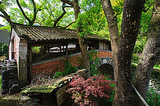 soi bạch thủ