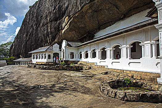 cau bạch thu