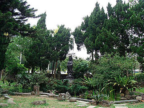 soi cau chuan 86
