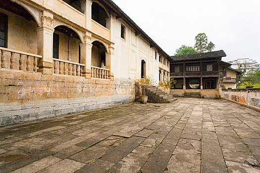 dự đoán mn
