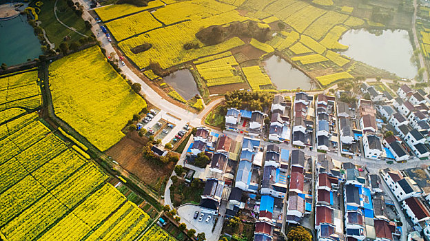 kết quả xổ số gia lai hôm nay