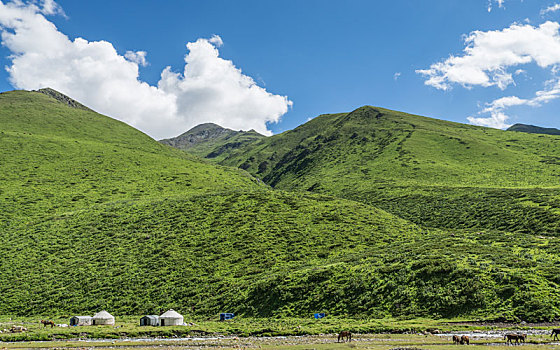 con lô đẹp hôm nay