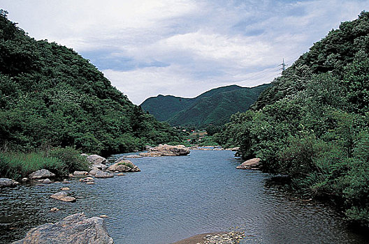 soi cau bach thu lo khung 3 ngay
