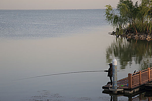 soi cầu rong bạch kim