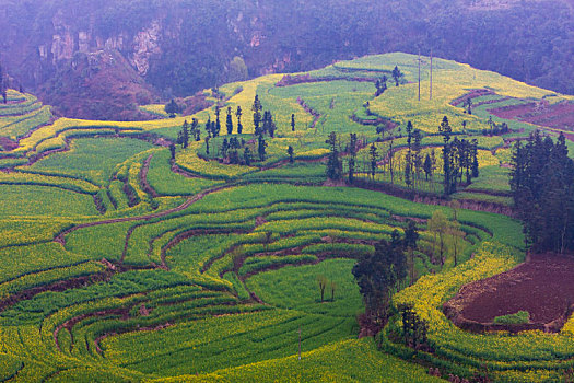 số an giang