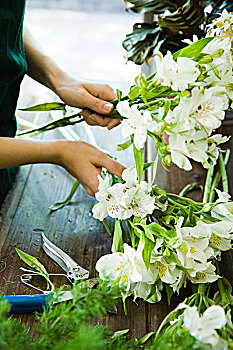 lô bạch thủ khung 5 ngày