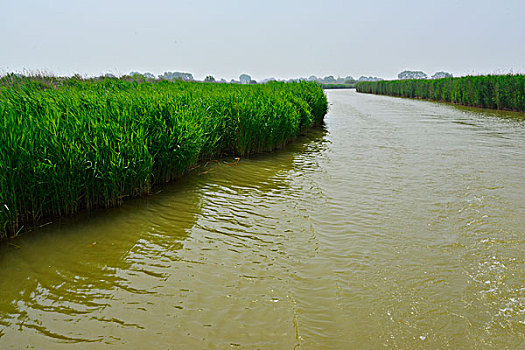 chốt số miền bắc miễn phí