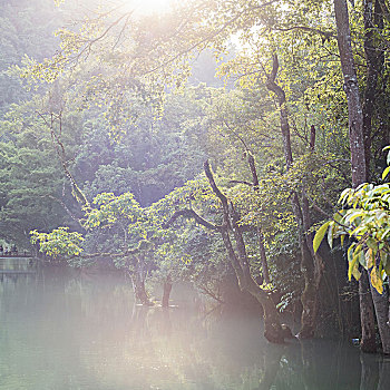 soi cau lo kep ngay hom nay