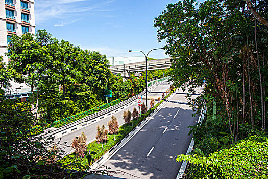 soi cau vinh log 568
