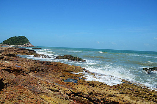 rong bach kim 666 mien nam