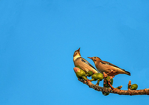 cách chơi lô đề không thua