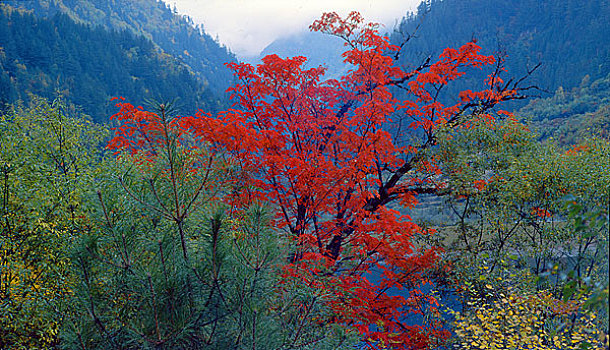 lô miền bắc
