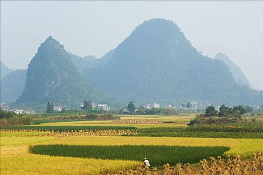 soi cau 366 mien bac hom nay