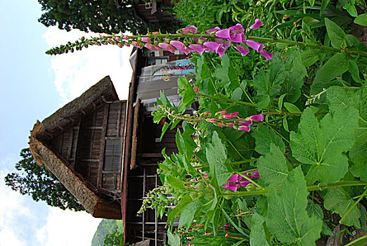 web danh lo de truc tuyen