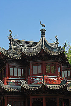 soi cau 100 ngay