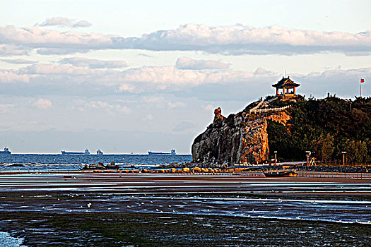 cầu bạch thủ long an