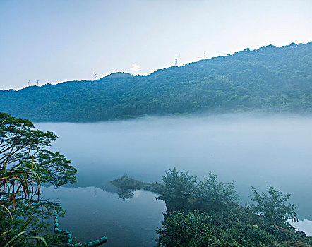 du doan m nam