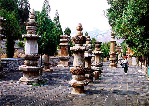 soi bạch thủ lô miễn phí