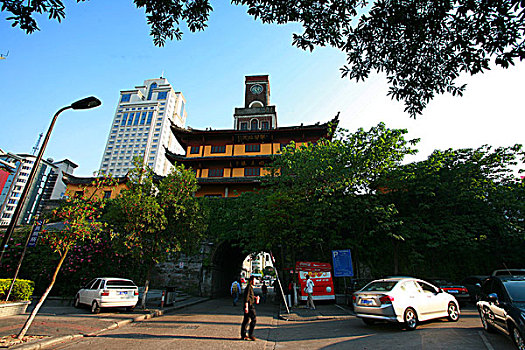 cau lo bach thu khung 5 ngay